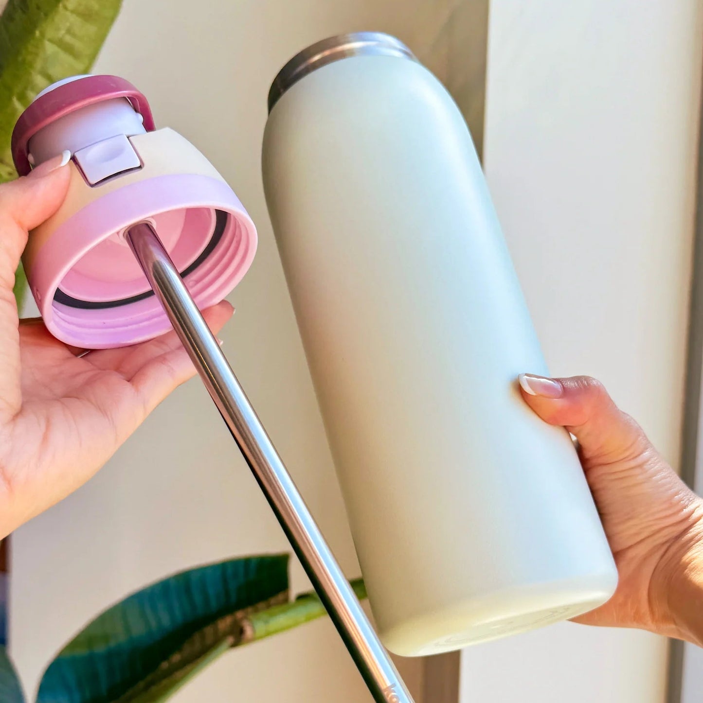 Metal Straw Replacement